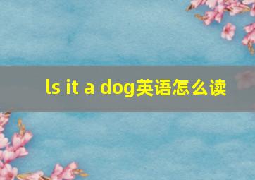 ls it a dog英语怎么读